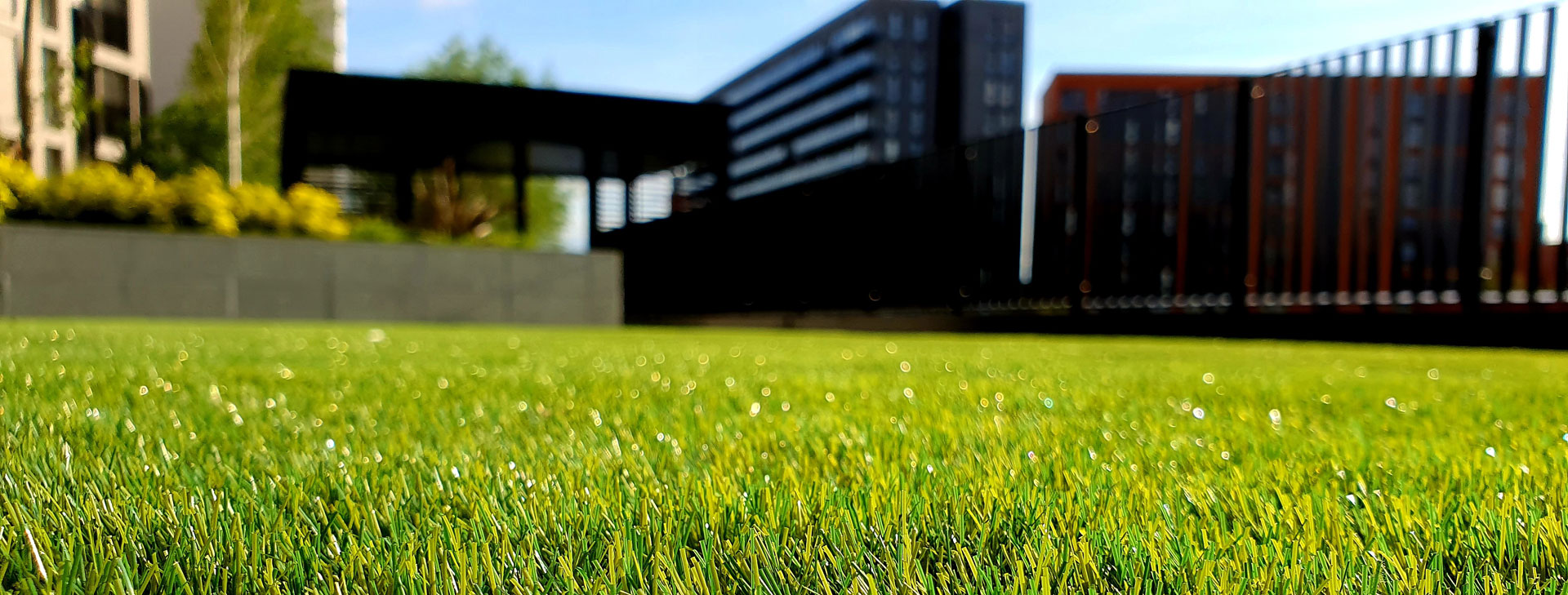 The grass is always greener on
your side of the fence