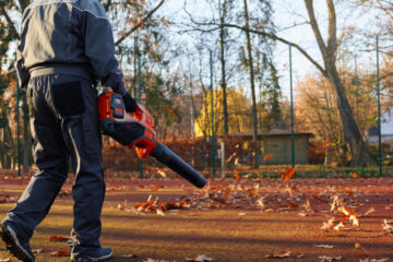 Spring & Fall Cleanup