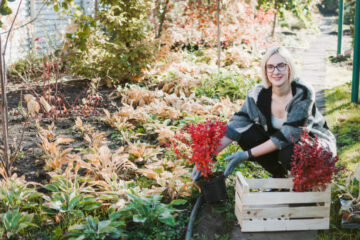 Full Service Landscaping